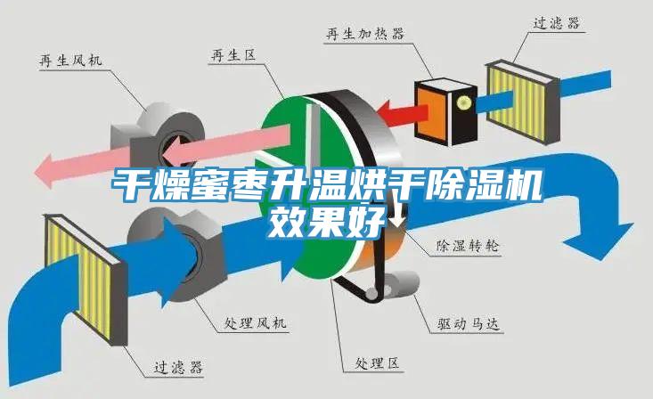 幹燥蜜棗升溫烘幹香蕉视频国产效果好