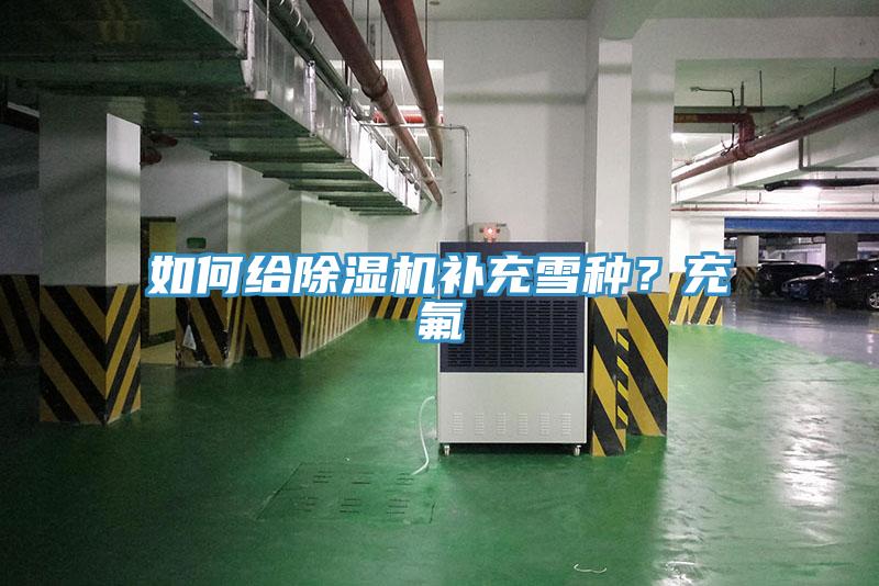 如何給香蕉视频国产補充雪種？充氟