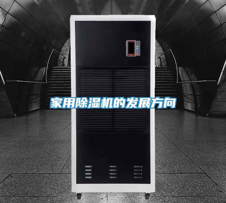 家用香蕉视频国产的發展方向