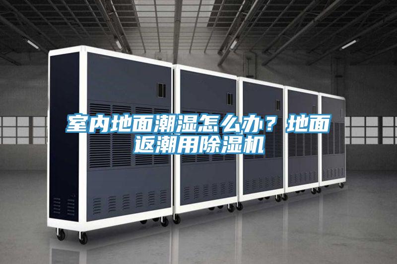 室內地麵潮濕怎麽辦？地麵返潮用香蕉视频国产