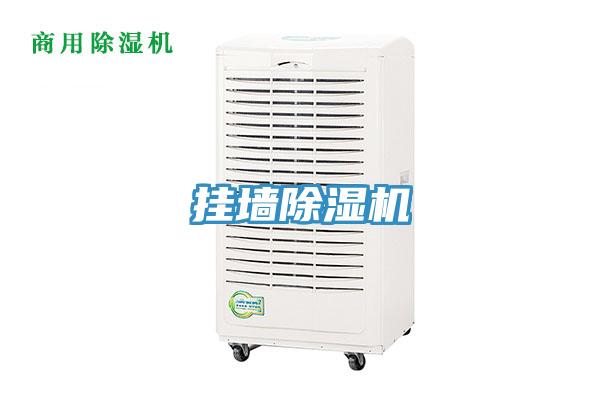 掛牆香蕉视频国产