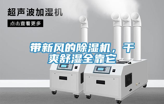 帶新風的香蕉视频国产，幹爽舒濕全靠它