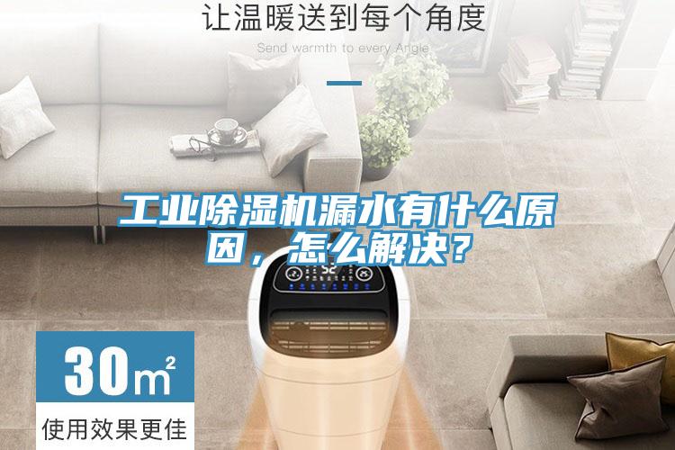工業香蕉视频国产漏水有什麽原因，怎麽解決？
