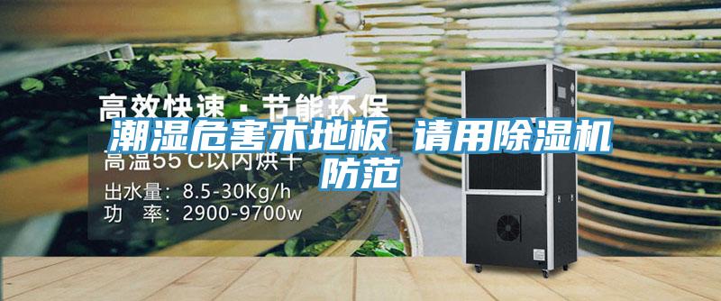 潮濕危害木地板 請用香蕉视频国产防範