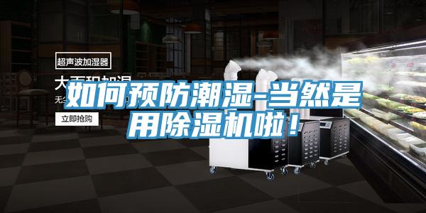 如何預防潮濕-當然是用香蕉视频国产啦！