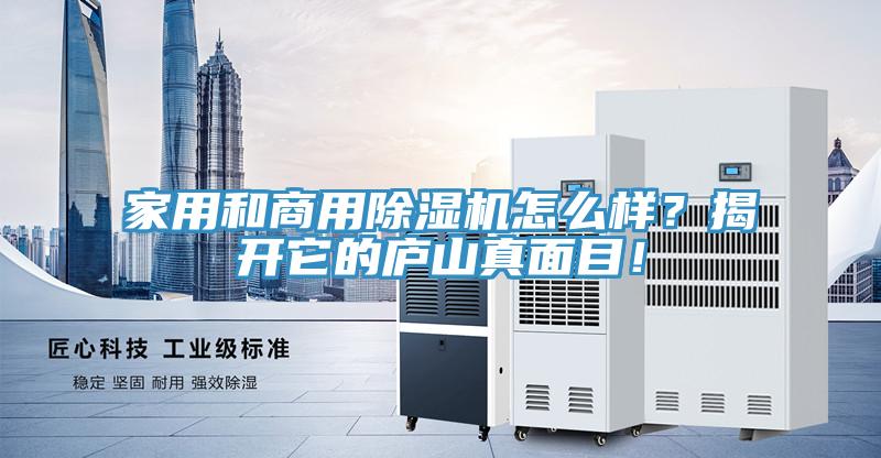 家用和商用香蕉视频国产怎麽樣？揭開它的廬山真麵目！