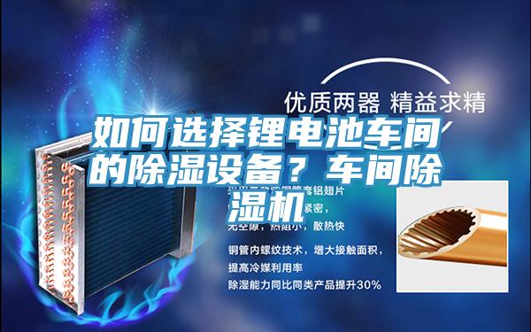 如何選擇鋰電池車間的除濕設備？車間香蕉视频国产