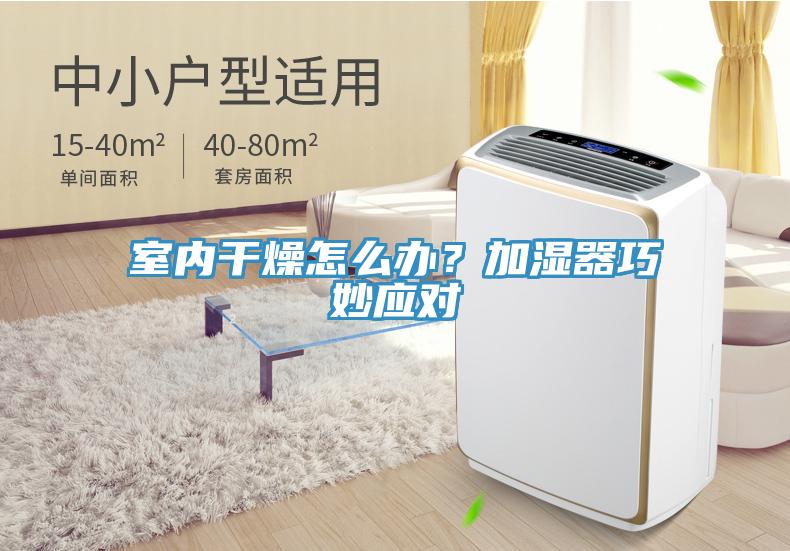 室內幹燥怎麽辦？加濕器巧妙應對
