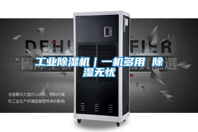 工業香蕉视频国产｜一機多用 除濕無憂