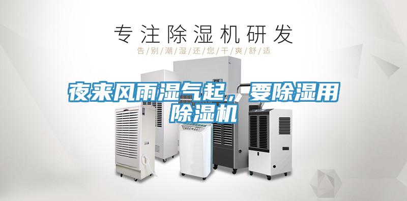 夜來風雨濕氣起，要除濕用香蕉视频国产