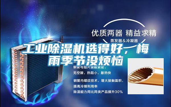 工業香蕉视频国产選得好，梅雨季節沒煩惱