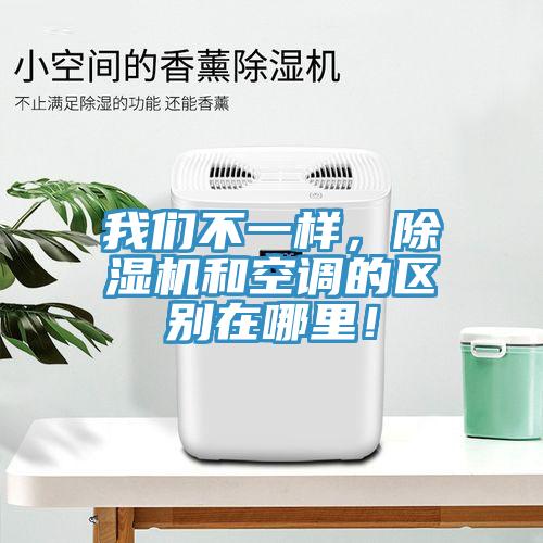 大香蕉性爱网不一樣，香蕉视频国产和空調的區別在哪裏！