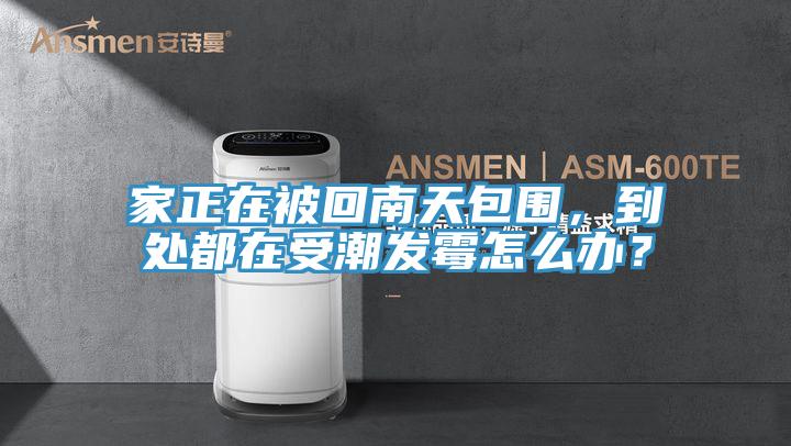 家正在被回南天包圍，到處都在受潮發黴怎麽辦？