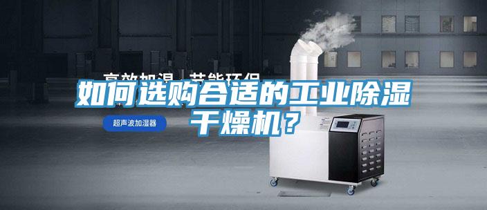 如何選購合適的工業除濕幹燥機？