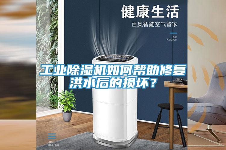 工業香蕉视频国产如何幫助修複洪水後的損壞？