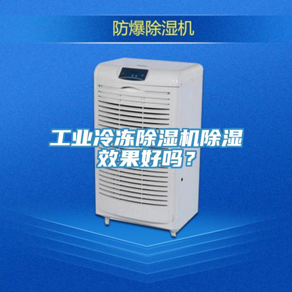 工業冷凍香蕉视频国产除濕效果好嗎？