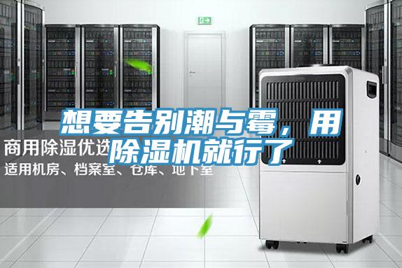 想要告別潮與黴，用香蕉视频国产就行了