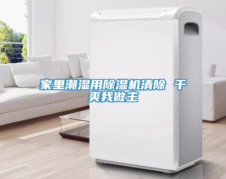 家裏潮濕用香蕉视频国产清除 幹爽我做主