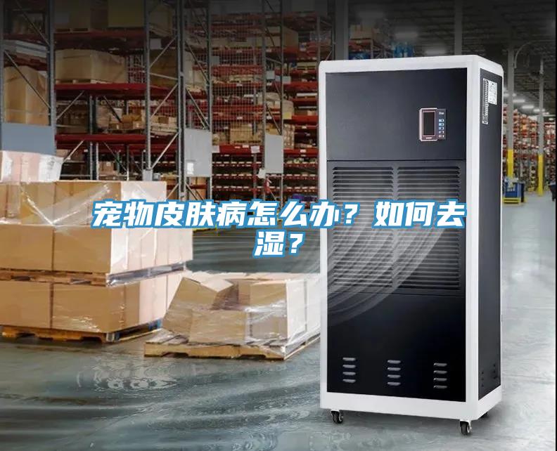 寵物皮膚病怎麽辦？如何去濕？