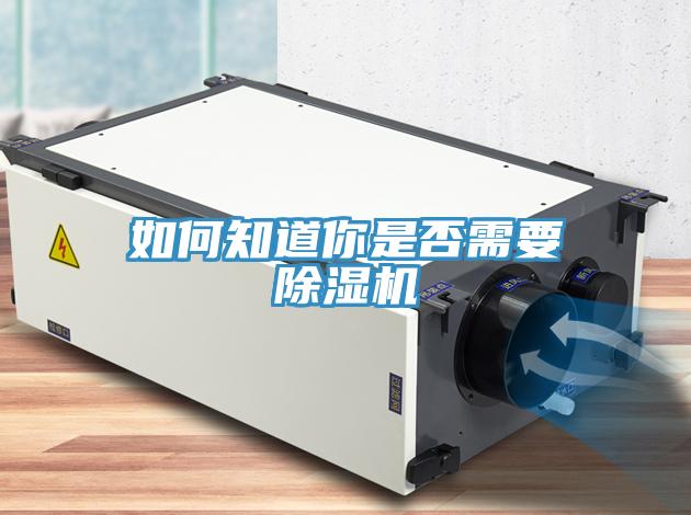 如何知道你是否需要香蕉视频国产
