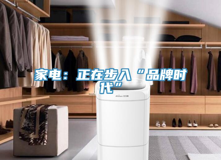 家電：正在步入“品牌時代”