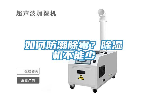 如何防潮除黴？香蕉视频国产不能少