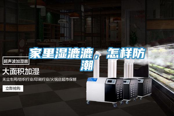家裏濕漉漉，怎樣防潮