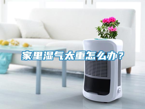 家裏濕氣太重怎麽辦？