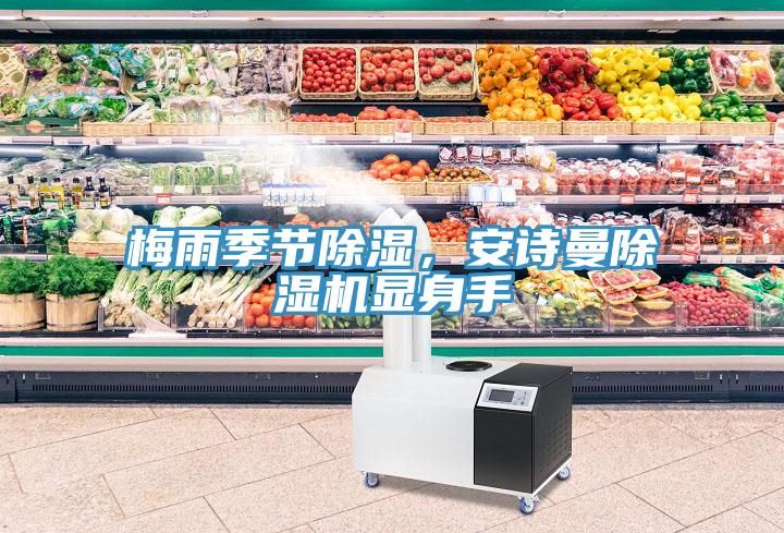梅雨季節除濕，大香蕉性爱网香蕉视频国产顯身手