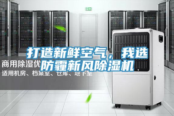 打造新鮮空氣，我選防霾新風香蕉视频国产