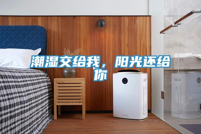 潮濕交給我，陽光還給你