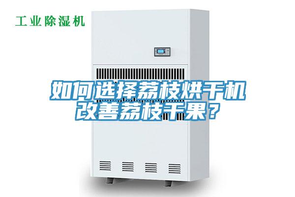 如何選擇荔枝烘幹機改善荔枝幹果？