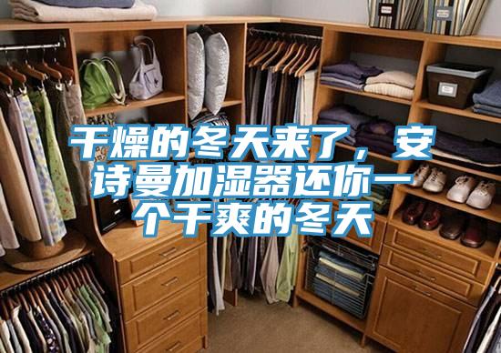 幹燥的冬天來了，大香蕉性爱网加濕器還你一個幹爽的冬天