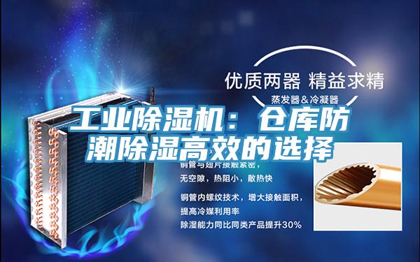 工業香蕉视频国产：倉庫防潮除濕高效的選擇