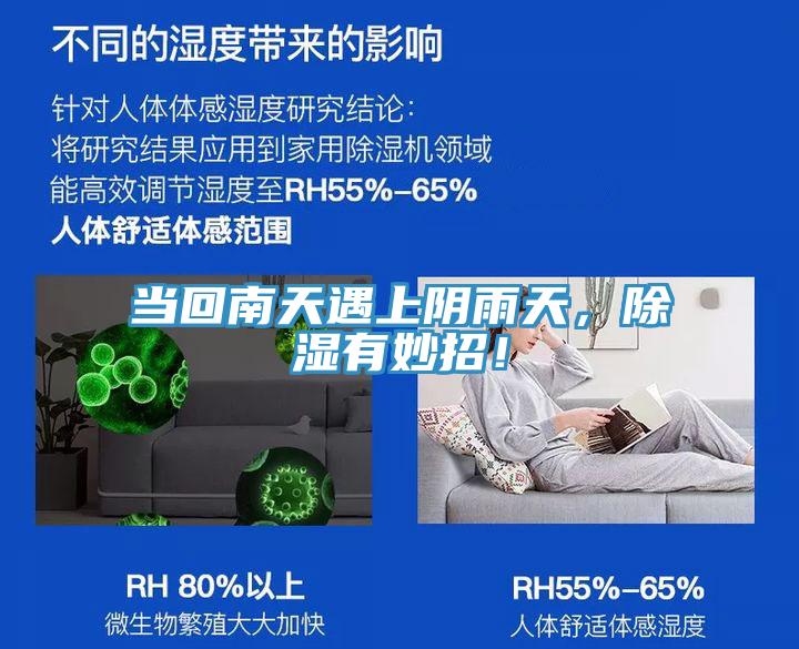 當回南天遇上陰雨天，除濕有妙招！