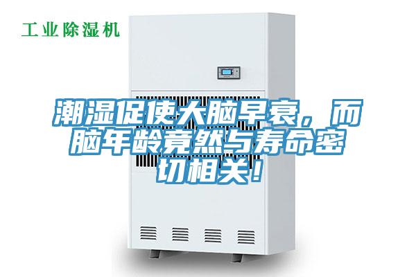 潮濕促使大腦早衰，而腦年齡竟然與壽命密切相關！