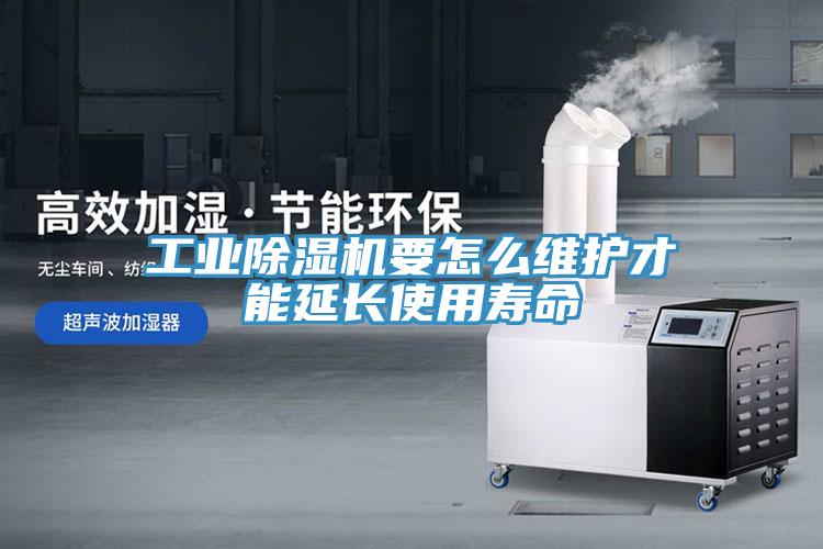 工業香蕉视频国产要怎麽維護才能延長使用壽命