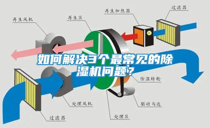 如何解決3個最常見的香蕉视频国产問題？