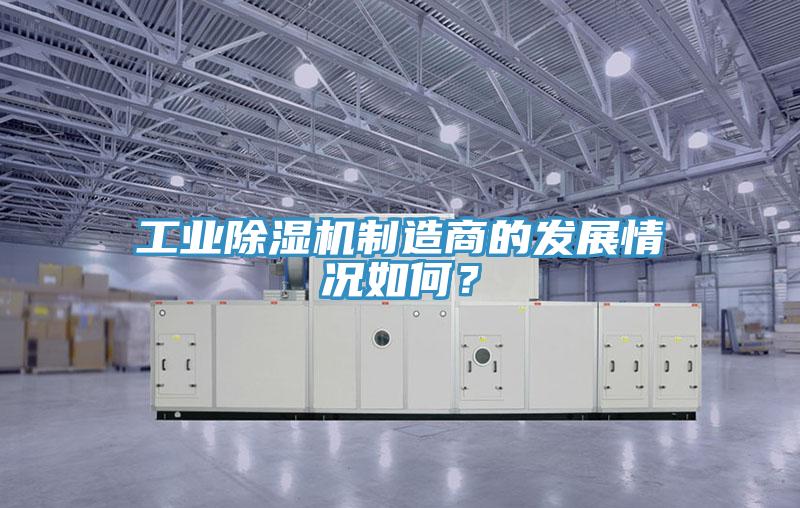 工業香蕉视频国产製造商的發展情況如何？