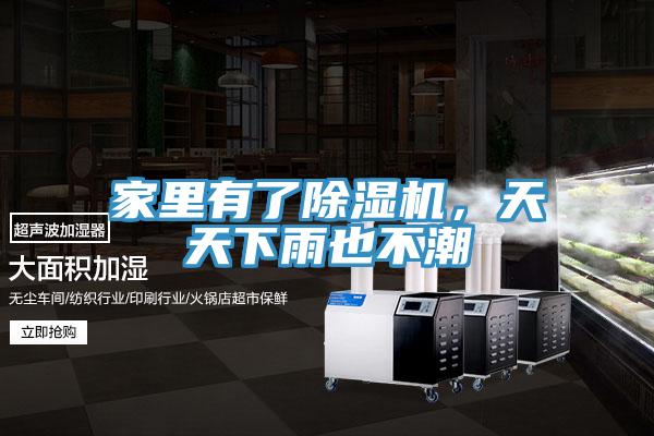 家裏有了香蕉视频国产，天天下雨也不潮