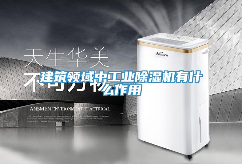 建築領域中工業香蕉视频国产有什麽作用