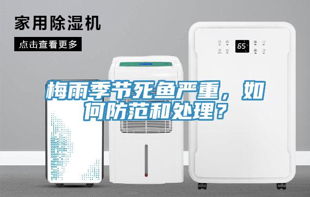 梅雨季節死魚嚴重，如何防範和處理？