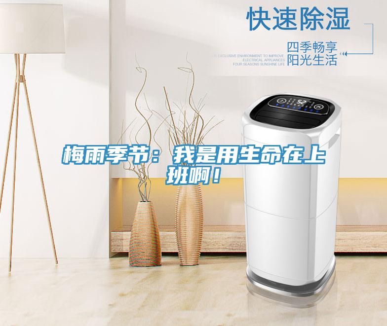 梅雨季節：我是用生命在上班啊！