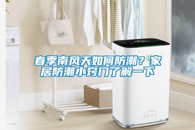 春季南風天如何防潮？家居防潮小竅門了解一下