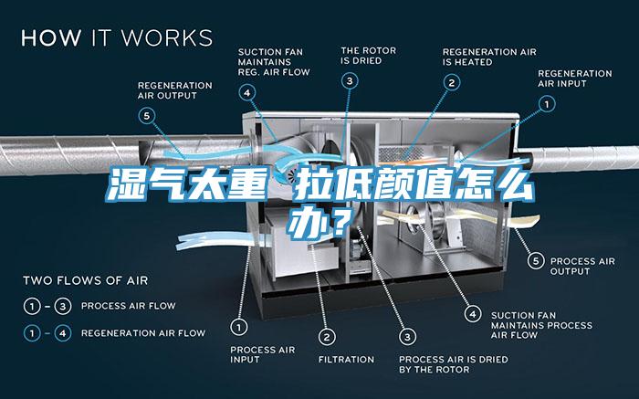 濕氣太重 拉低顏值怎麽辦？