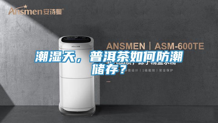 潮濕天，普洱茶如何防潮儲存？