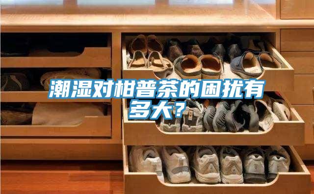 潮濕對柑普茶的困擾有多大？