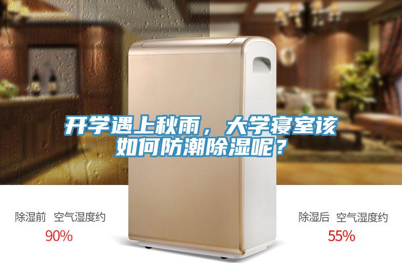 開學遇上秋雨，大學寢室該如何防潮除濕呢？