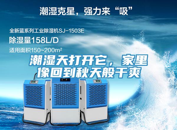 潮濕天打開它，家裏像回到秋天般幹爽