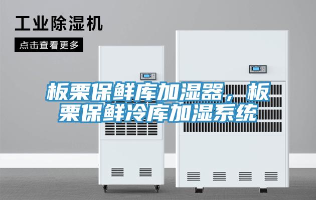 板栗保鮮庫加濕器，板栗保鮮冷庫加濕係統